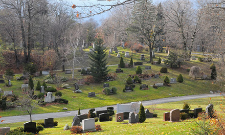Cemetery Photo Shoot